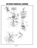 Air Cleaner, Carburetor, and Governor