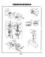 Carburetor and Muffler