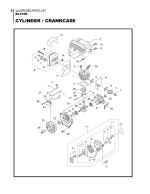 Cylinder and Crankcase