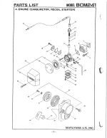 Engine (Carburetor, Recoil Starter)