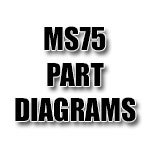 MS75