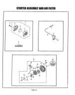 Starter Assembly and Air Filter